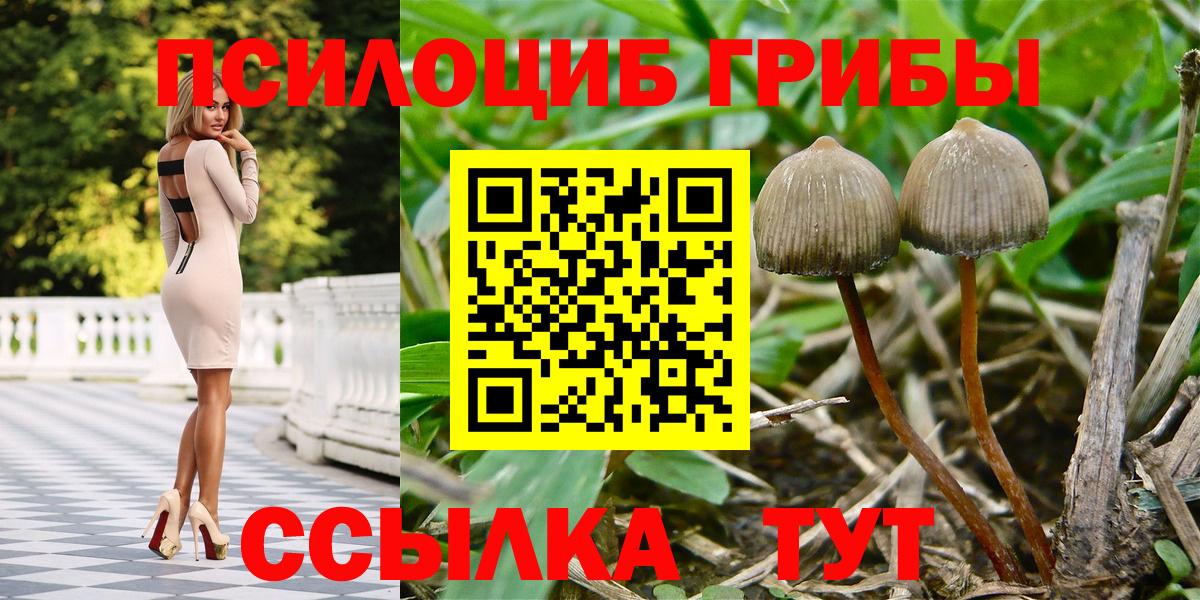 Нефтеюганск  Галлюциногенные грибы мухоморы  Вход с VPN 